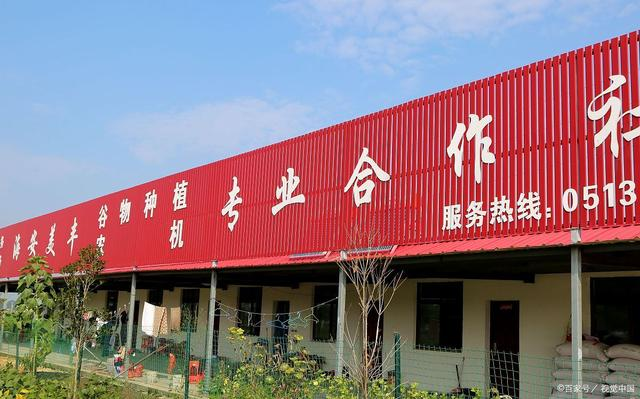 图片17