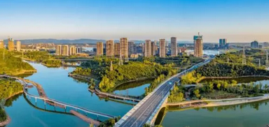 图片15